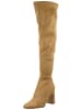 Steve Madden Stiefel in Taupe