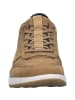 Josef Seibel Sneaker Clint 03 in braun