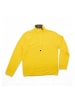 Jack Wolfskin Sweatshirt Modesto Halfzip Shirt Herren Fleecejacke Sweatshirt in Grün