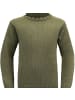 DEVOLD NANSEN WOOL HIGH NECK in Oliv