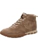 Paul Green Stiefelette in beige