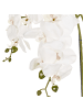 Beliani Kunstpflanze ORCHID in Grün/Weiß - (W) 22 x (H) 59 x (L) 22 cm