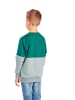 erima Junge Sweatshirt Leon in everglade/limepunch