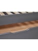 ebuy24 Bett Dream Grau 209 x 99 cm