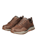 Skechers Sneaker BENAGO in Braun