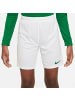 Nike Kurze Hose für Herren in uni