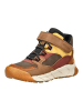 Geox Stiefelette in Braun