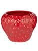 Butlers Blumentopf STRAWBERRY Erdbeere in Rot