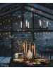 Seltmann Weiden 6er Set Frühstücksteller Marieluise Weihnachtsnostalgie ø 20 cm creme in creme