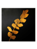 WALLART Leinwandbild Gold - Gold - Eukalyptus auf Schwarz in Gold