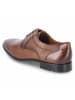 LLOYD Halbschuhe CORE 111 in braun