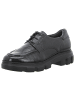 Paul Green Schnürschuhe in schwarz