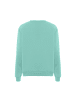 Colina Herren Sweatshirt in Eisminze