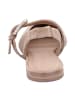 Kennel & Schmenger Ballerinas in Beige