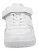 Lacoste Sneaker Weiß/Weiß