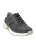 Pius Gabor Komfort Schnürschuhe in Grau