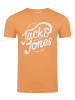 Jack & Jones T-Shirt JJLINO 4er Pack in Mehrfarbig