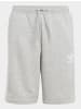 adidas adidas Shorts in medium grey heather