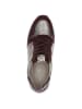 Caprice Sneaker in BORDEAUX COMB