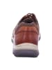 Camel Active Sportliche Schnürschuhe in Braun