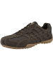 Geox Sneaker low U Snake Original in dunkelbraun