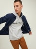 Jack & Jones Sweatshirt 'Berg' in grau