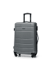 Wittchen Globe line Collection in Gray
