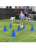Pawhut Hunde 6-teiliges Agility Blau Kunststoff