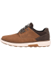 rieker Sneakers Low in brown/schoko/braun