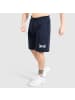 SMILODOX Shorts Classic Pro in Blau