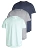 DENIMFY T-Shirt DENIMFY Tshirt Herren Regular Fit DFDiego 3er Set in Mehrfarbig