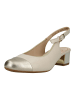 ara Pumps in Beige