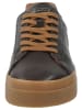 GANT Footwear Sneaker AVONA Dunkelbraun