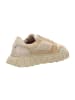 Apple of Eden Sneaker Low in Beige