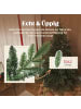 HOMCOM Weihnachtsbaum in Grün 122L x 122B x 180H cm