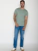 GreenBomb Spice Basic in Bamboo Stripes
