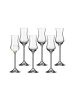 LEONARDO 6er Set Grappagläser Daily in Transparent 30 ml in transparent