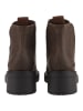 Blowfish Stiefelette FRANCES Chocolate