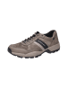Gabor Sneaker Low in braun