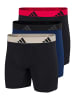 Adidas Sportswear Long Short / Pant Active Flex Cotton in Mehrfarbig