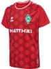 Hummel Trikot S/S Wer 23/24 Gk Jersey S/S Kids in TRUE RED