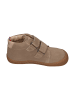 KOEL Sneaker High DAVID SUEDE in natur