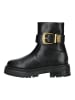 Steve Madden Stiefelette in Schwarz/Gold