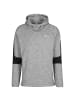 Puma Trainingskapuzenpullover Evostripe in grau