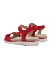 ara Sandalen in Rot