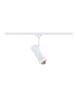 paulmann URail Spot Smart Home Zigbee 3.0 Tarie RGBW  230lm 4,5W RGBW+ dimmbar 230V Sign