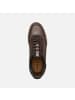 Geox Schuhe U in bunt