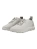 Geox Sneaker Hellgrau