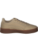 Puma Sneakers Low in sand