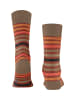 Falke Socken Tinted Stripe in Port royal